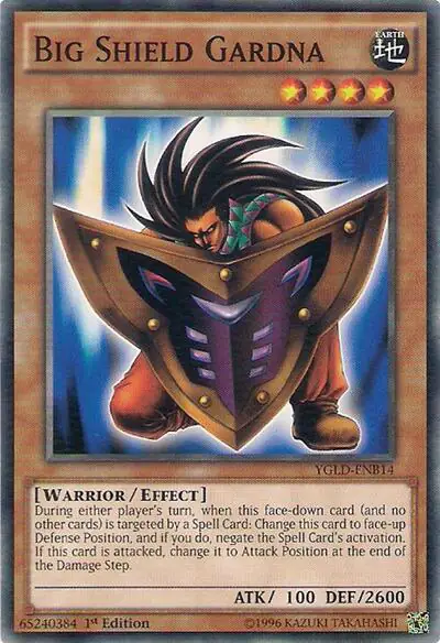 Big Shield Gardna