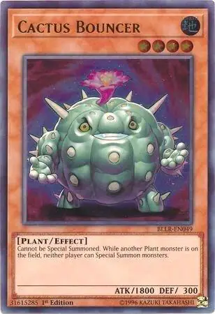 Cactus Bouncer