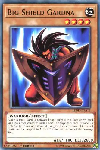 Big Shield Gardna