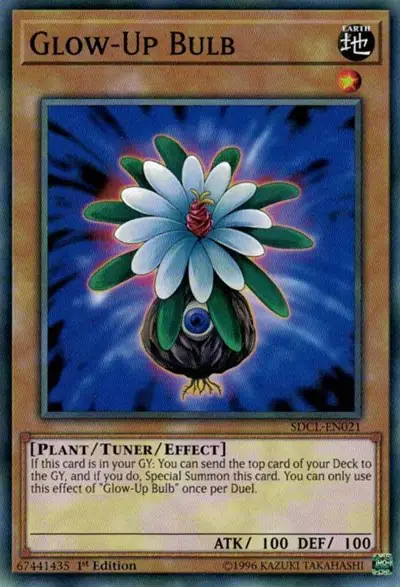 Glow-Up Bulb