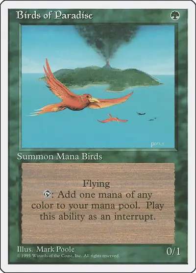 Birds of Paradise