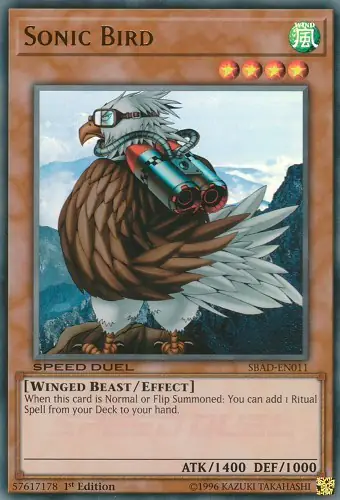Sonic Bird