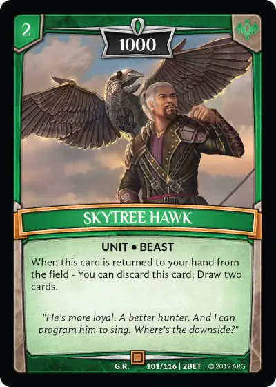 Skytree Hawk