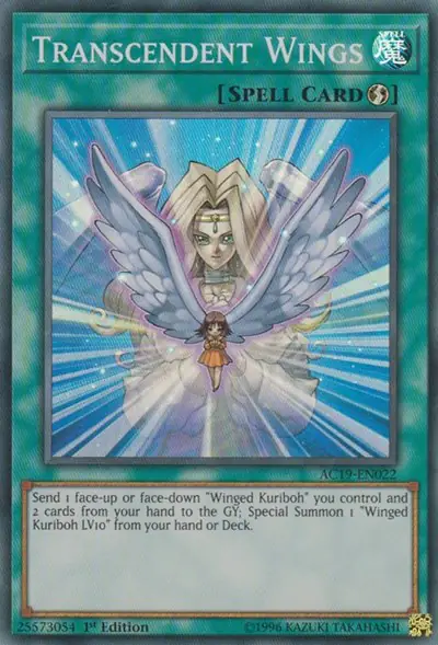 Transcendent Wings