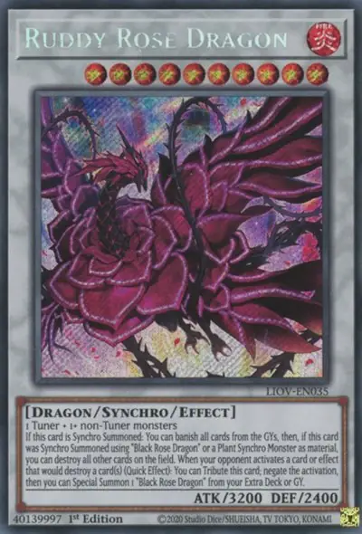 Ruddy Rose Dragon