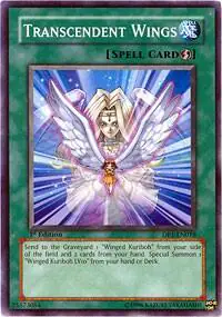Transcendent Wings
