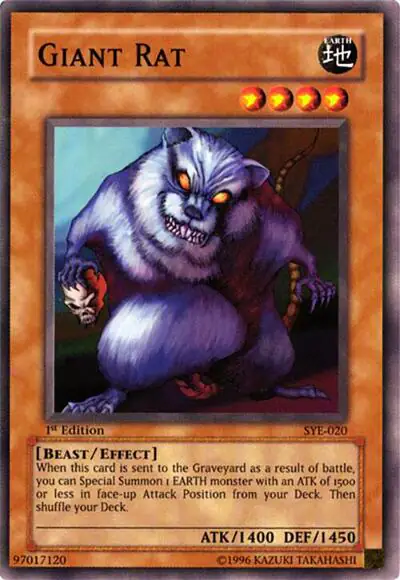 Giant Rat