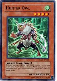 Hunter Owl