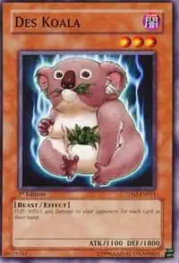 Des Koala