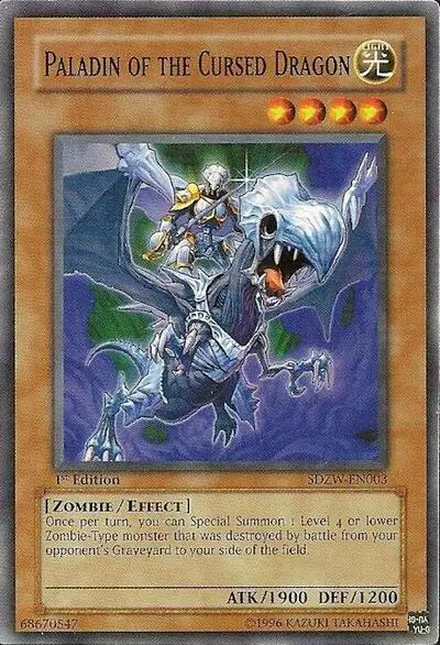 Paladin of the Cursed Dragon