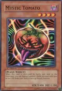 Mystic Tomato