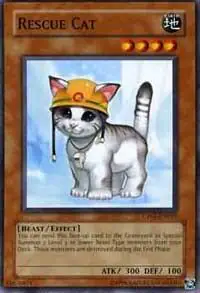Rescue Cat