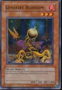 Lonefire Blossom