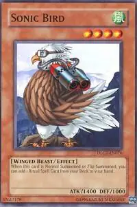Sonic Bird