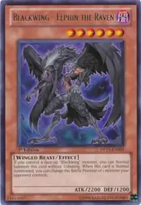 Blackwing - Elphin the Raven