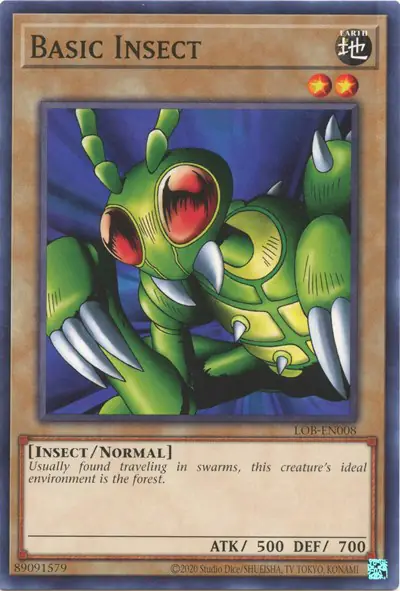 Basic Insect