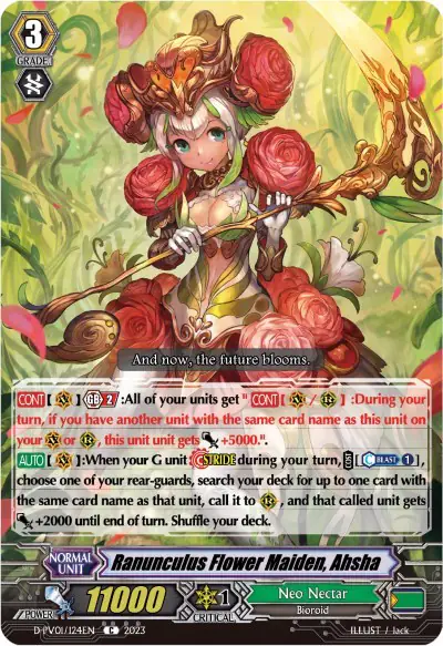 Ranunculus Flower Maiden, Ahsha