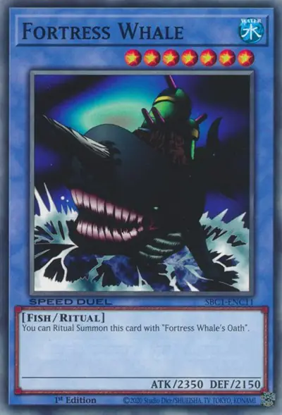 Fortress Whale