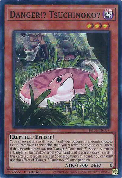 Danger!? Tsuchinoko?