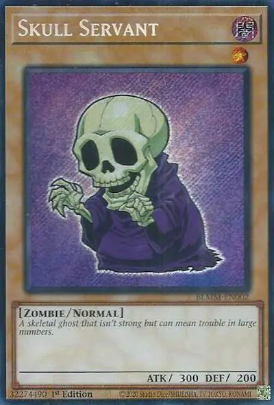 Skull Servant
