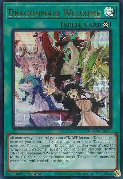 Dragonmaid Welcome