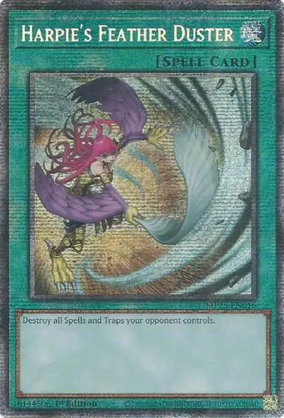 Harpie's Feather Duster