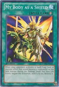 My Body as a Shield