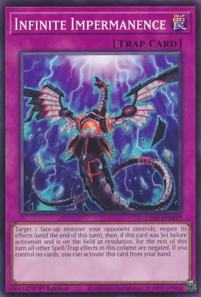 Infinite Impermanence