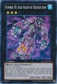 Number 30: Acid Golem of Destruction