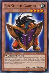 Big Shield Gardna