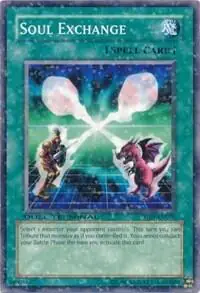 Soul Exchange