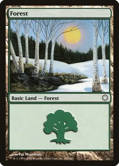 Forest (382)
