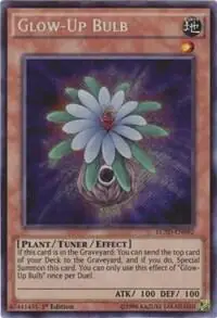 Glow-Up Bulb