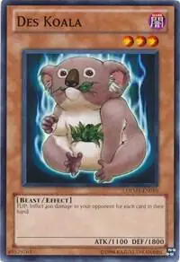 Des Koala